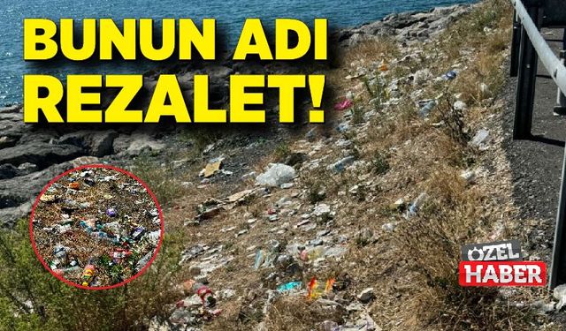 Bunun adı rezalet!