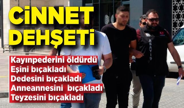 Cinnet geçiren şahıs kayınpederini öldürdü, eşini ve 3 kişiyi yaraladı