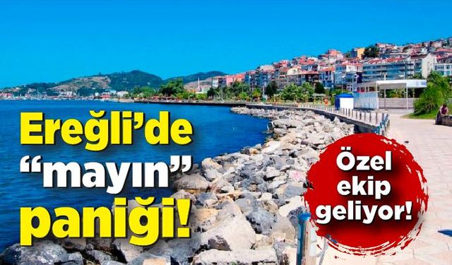 Ereğli’de “mayın” paniği: Özel ekip geliyor!