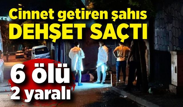 Cinnet getiren şahıs dehşet saçtı: 6 ölü, 2 yaralı