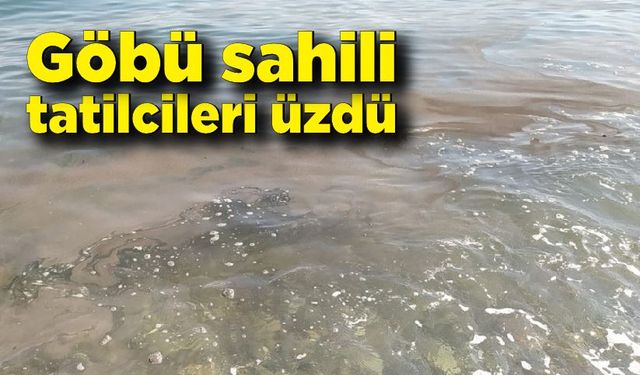 Göbü sahili tatilcileri üzdü