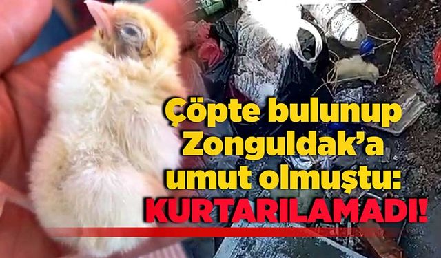 Çöpte bulunup Zonguldak’a umut olmuştu: Kurtarılamadı