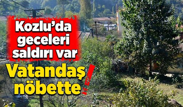 Kozlu’da geceleri saldırı var: Vatandaş nöbette!