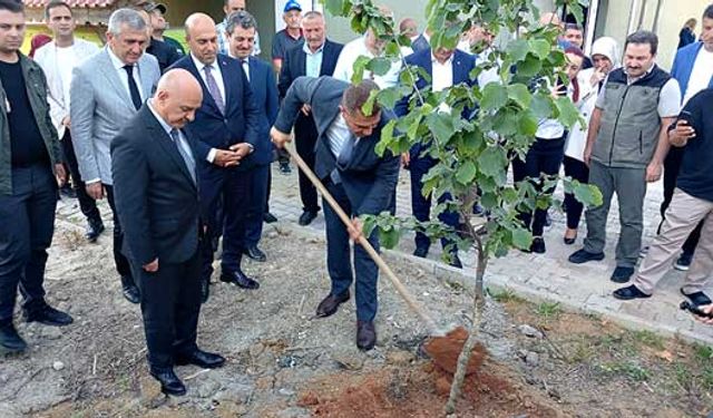 Düzce'de tek ağaç fındık sistemi hayata geçecek