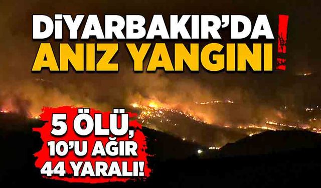 Diyarbakır'da anız yangını! 5 ölü, 10'u ağır 44 yaralı!