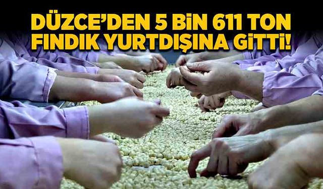 Düzce’den 5 bin 611 ton fındık yurtdışına gitti!