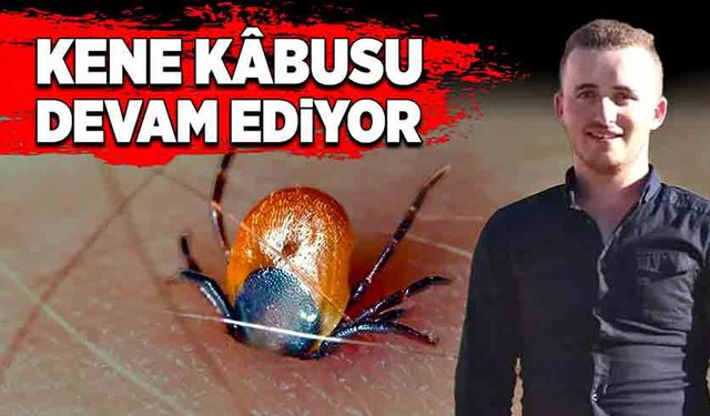 Kene kâbusu devam ediyor! Bir kişi daha hayatını kaybetti