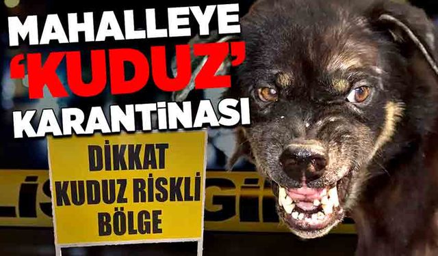 Mahalleye ‘kuduz’  karantinası!