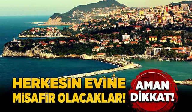 Zonguldak’ta herkesin evine misafir olacaklar! Aman dikkat!