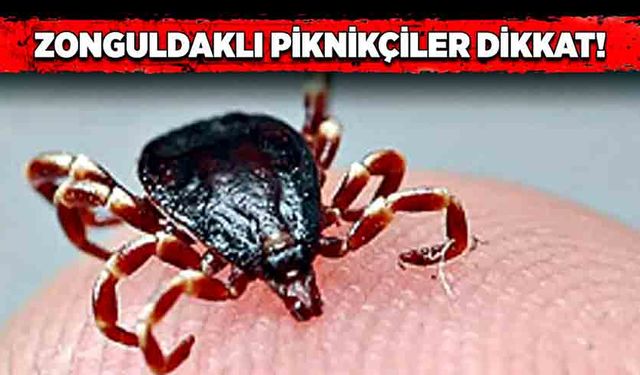 Zonguldaklı piknikçiler dikkat!