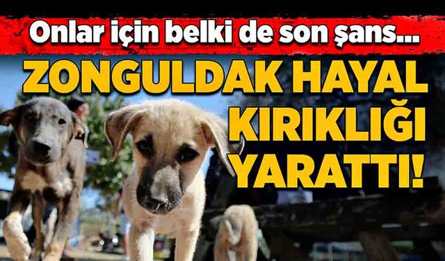 Onlar için belki de son şans… Zonguldak hayal kırıklığı yarattı