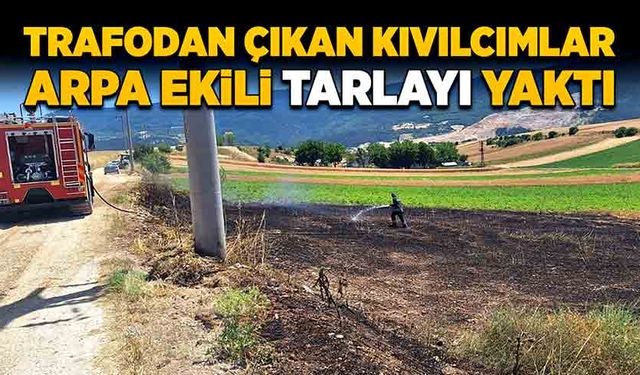 Trafodan çıkan kıvılcımlar arpa ekili tarlayı yaktı