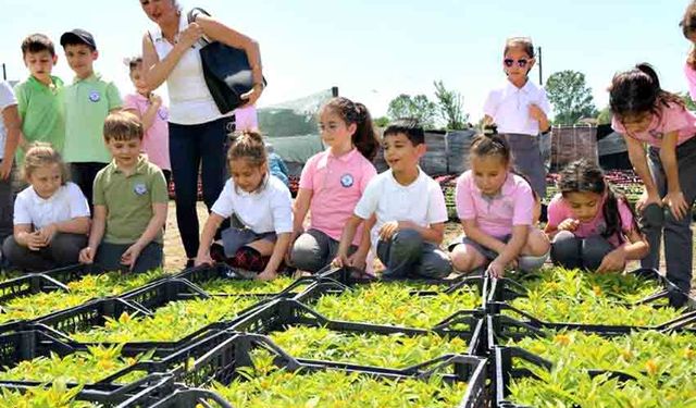 Minik eller çiçek dikti, tarımı öğrendi