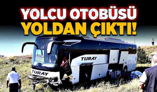 Yolcu otobüsü yoldan çıktı!