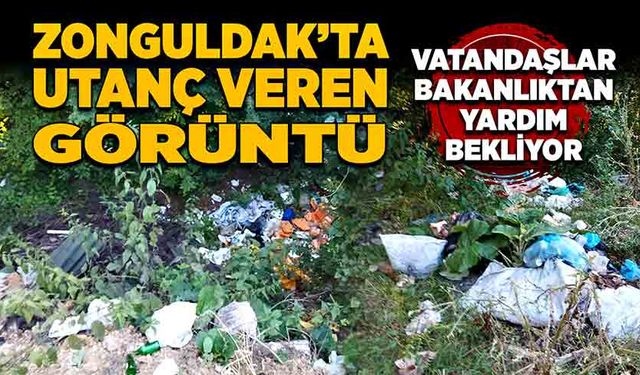 Zonguldak’ta utanç veren görüntü! Vatandaşlar bakanlıktan yardım bekliyor