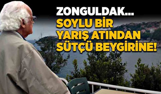 Zonguldak… Soylu bir yarış atından sütçü beygirine!