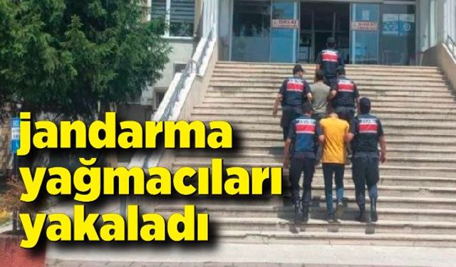 Jandarma yağmacıları yakaladı