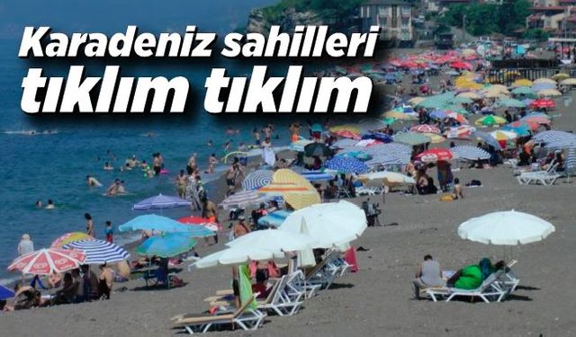 Karadeniz sahilleri tıklım tıklım