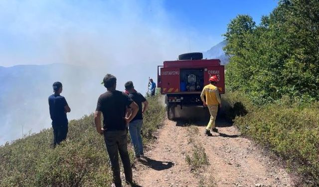 Kastamonu'da orman yangını kontrol altına alındı