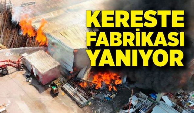 Kereste fabrikasında büyük yangın!  İtfaiye ekipleri alevlerle güçlükle mücadele ediyor