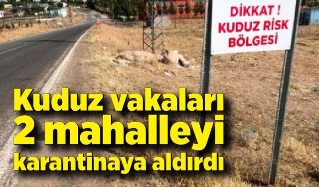 Kuduz vakaları nedeniyle 2 mahalle karantinaya alındı