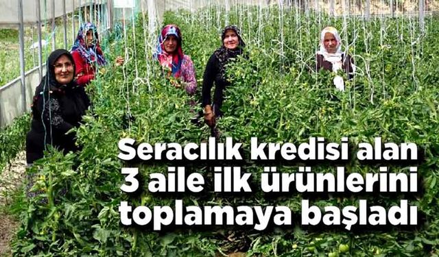 Sera’lardan ilk ürünler alınmaya başladı