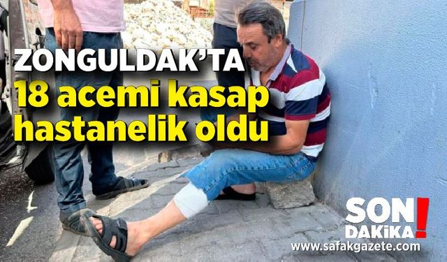 Zonguldak'ta 18 acemi kasap hastanelik oldu