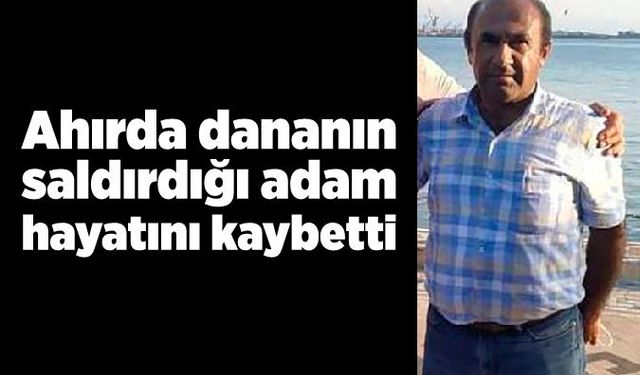 Ahırda dananın saldırdığı adam hayatını kaybetti