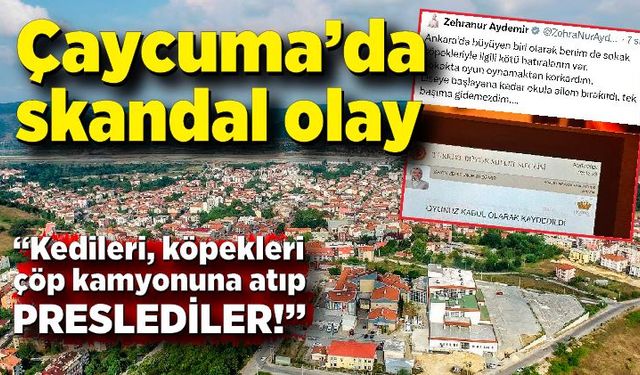 Çaycuma’da skandal olay: “Kedileri, köpekleri çöp kamyonuna atıp preslediler!”