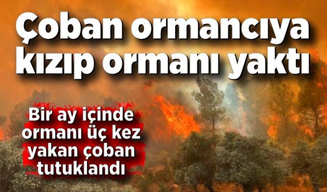 Çoban ormancıya kızıp ormanı yaktı