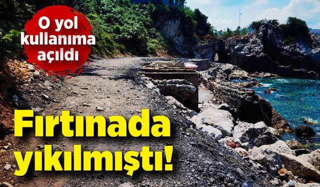 Fırtınada yıkılmıştı! O yol kullanıma açıldı