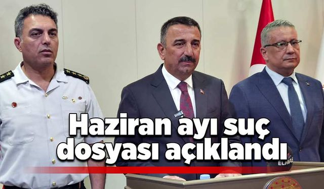 Haziran ayı suç dosyası açıklandı