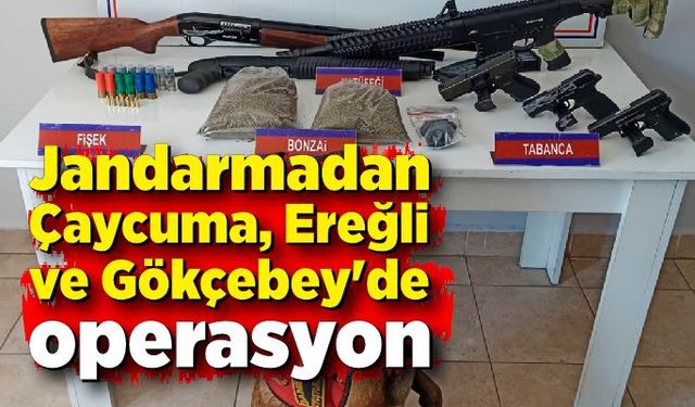 Jandarmadan Çaycuma, Ereğli ve Gökçebey'de operasyon; 3 tutuklu