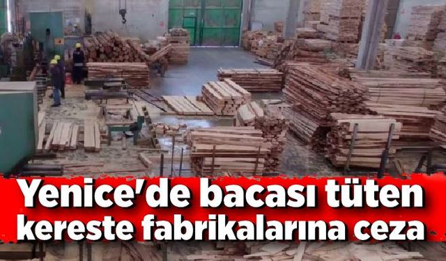 Yenice'de Bacası tüten kereste fabrikalarına ceza