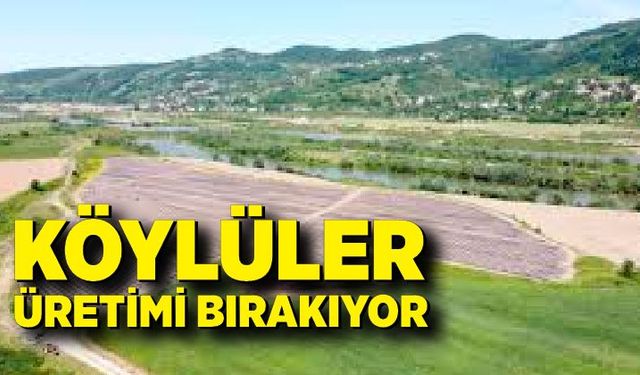 Zonguldak'ta köylüler üretimi bırakıyor