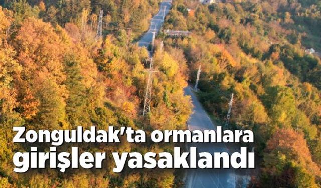 Zonguldak'ta ormanlara girişler yasaklandı