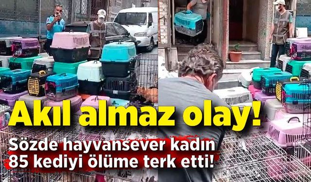 Akıl almaz olay: Sözde hayvansever kadın 85 kediyi ölüme terk etti