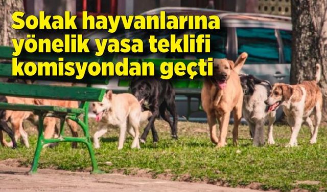 Sokak hayvanlarına yönelik yasa teklifi komisyondan geçti