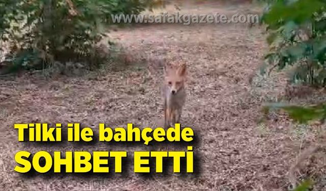 Yavru tilki ile bahçede sohbet etti