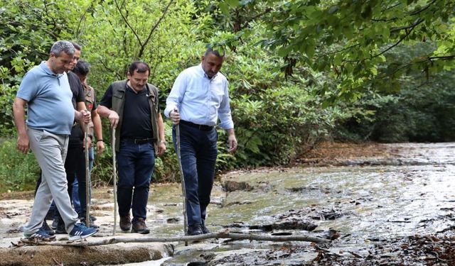 Vali Hacıbektaşoğlu, Harmankaya şelalelerini gezdi