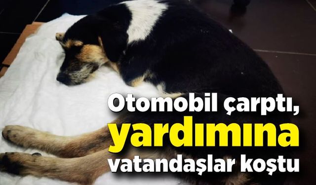 Otomobil çarptı, vatandaşlar yardımına koştu