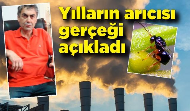 Yılların arıcısı gerçeği açıkladı!  “Gal arısı masal, en büyük tehlike sera gazları”