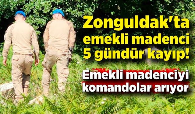 Zonguldak'ta emekli madenci 5 gündür kayıp! Komandolar ormanda aramaya başladı