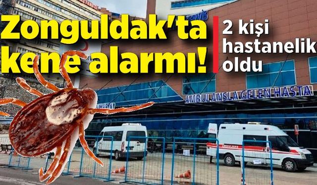 Zonguldak'ta  kene alarmı: 2 kişi hastanelik oldu