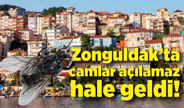 Zonguldak’ta camlar açılamaz hale geldi!