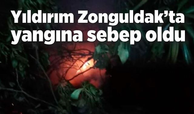 Yıldırım Zonguldak’ta yangına sebep oldu