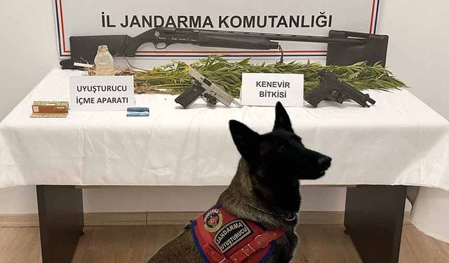 Kastamonu'da çok sayıda uyuşturucu ele geçirildi: 1 tutuklama