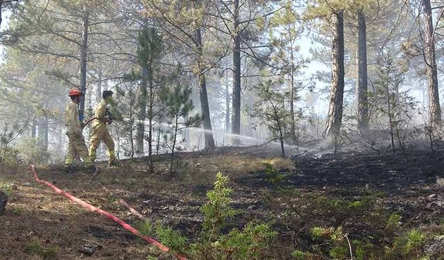 Kastamonu’da çıkan orman yangını söndürüldü