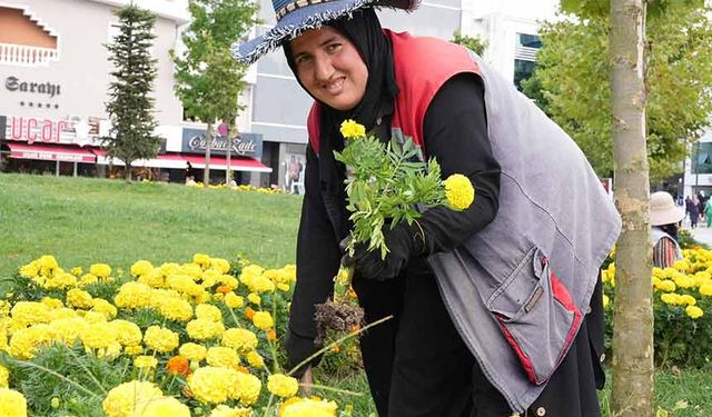 Sonbahar renkleri toprakla buluşuyor