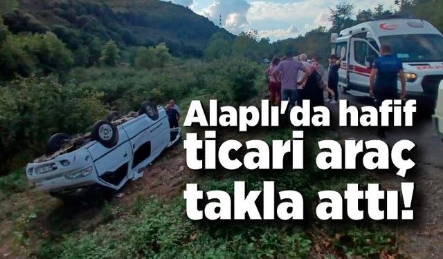 Alaplı'da hafif ticari araç takla attı; 2 yaralı